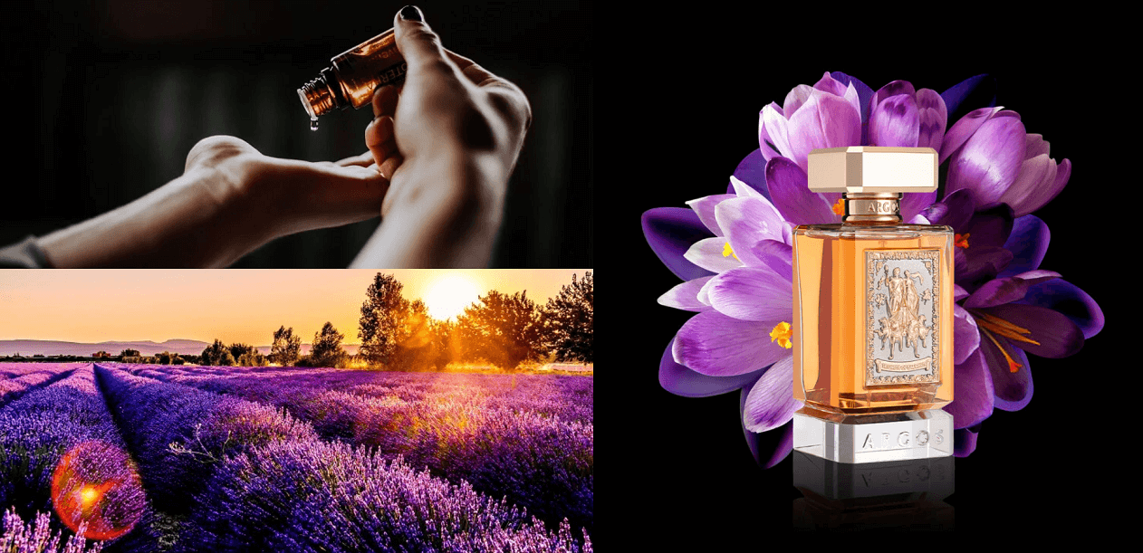 Fragrance Oils vs. Essential Oils
