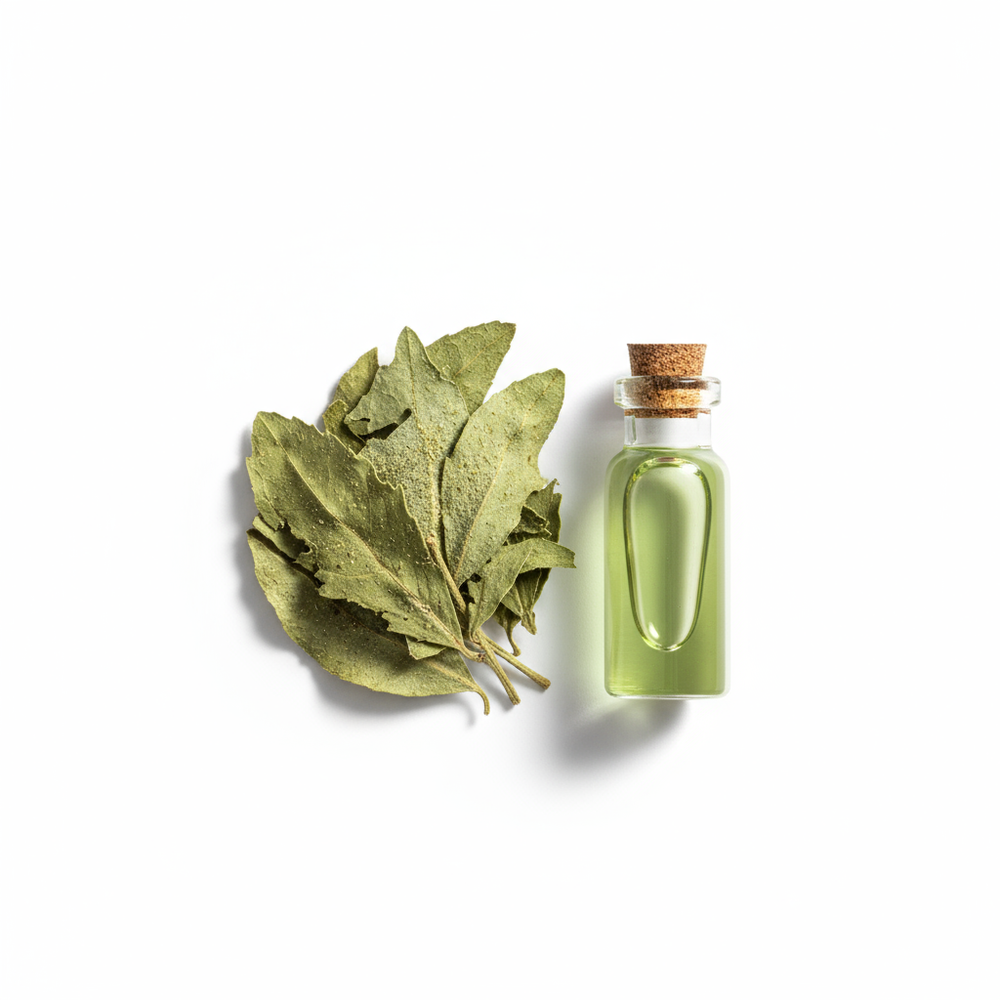 Green Mate Absolute