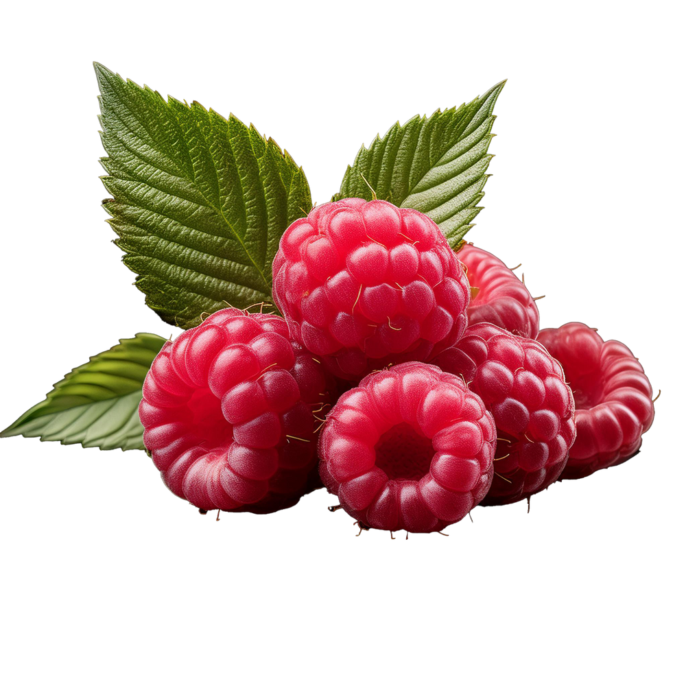 Raspberry