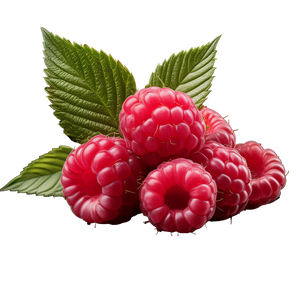 Raspberry